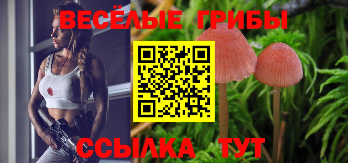 Псилоцибиновые грибы MAGIC MUSHROOMS  Галлюциногенные грибы мухоморы  Новокубанск  Вход с VPN 